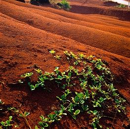 TGA 2023：圣剑传说新作《Visions of Mana》预告